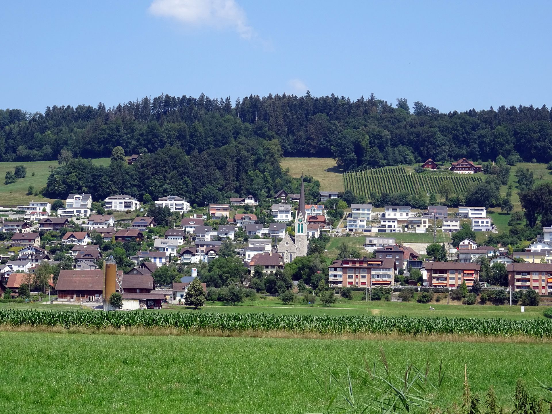 Wauwil